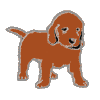 Auburn Puppy Icon