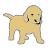 Light Blonde Puppy Icon